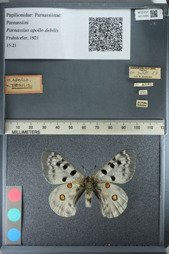 Media type: image;   Entomology 175395